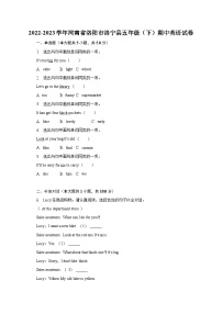 2022-2023学年河南省洛阳市洛宁县五年级（下）期中英语试卷（含解析）