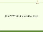 湖南少年儿童出版社小学英语三年级起点三年级下册 Unit 9 What's the weather like  课件