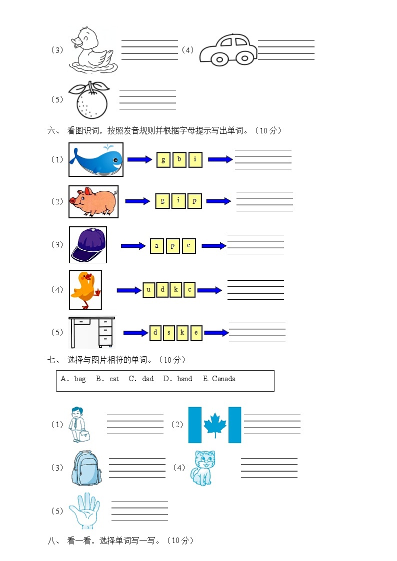 人教PEP版三年级英语下册期末专项复习-单词拼写题（含答案）03