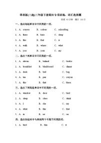 【词汇选择题】小学英语三年级下册期末专项训练卷-译林版（三起）（含答案）