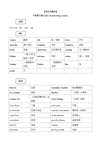 【期末复习】小学译林版（三起）六年级下册单元复习精讲精练Unit6 An interesting country(讲义+练习)（含答案）