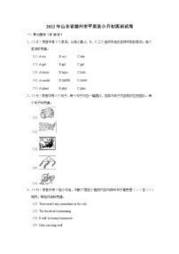 2022年山东省德州市平原县小升初英语试卷