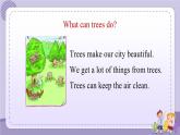 Unit 11《Trees》（第2課時）課件PPT