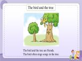 Unit 11《Trees》（第2課時）課件PPT