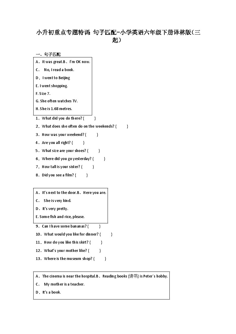 小升初重点专题特训：句子匹配-小学英语六年级下册译林版（三起）01
