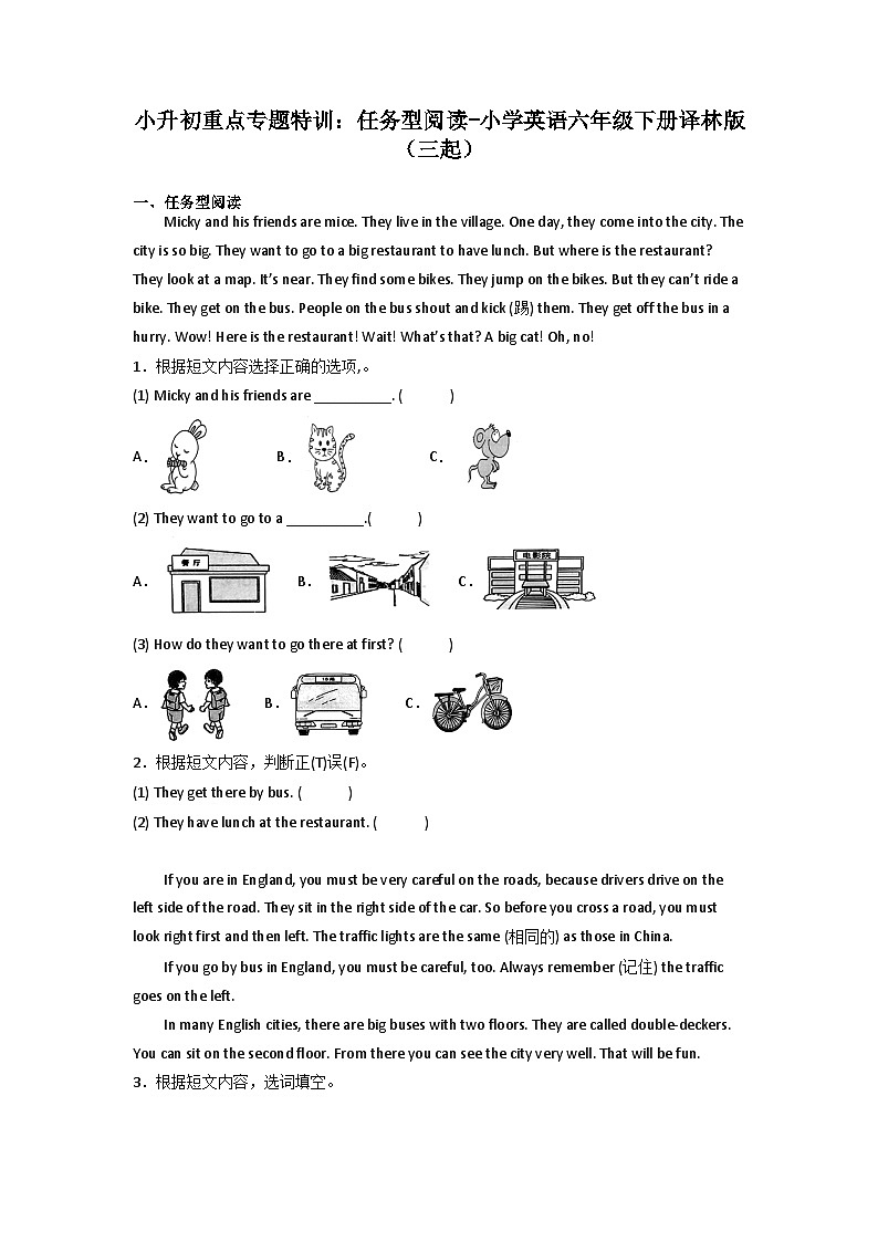小升初重点专题特训：任务型阅读-小学英语六年级下册译林版（三起）01