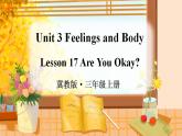 Unit 3 Feelings and Body Lesson 17 Are You Okay（课件+素材）冀教版（三起）英语三年级上册