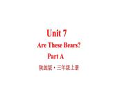 Unit 7 Are These Bears Part A（课件+素材）陕旅版（三起）英语三年级上册