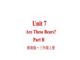 Unit 7 Are These Bears Part B（课件+素材）陕旅版（三起）英语三年级上册