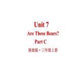 Unit 7 Are These Bears Part C（课件+素材）陕旅版（三起）英语三年级上册