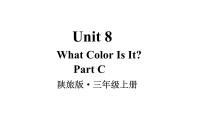 小学陕旅版Unit 8 What color is it?教学演示课件ppt