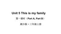 小学英语湘少版三年级上册Unit 5 This is my family课文课件ppt