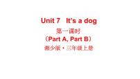 小学湘少版Unit 7 it's a dog课文ppt课件