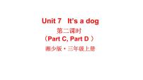 小学英语湘少版三年级上册Unit 7 it's a dog图文课件ppt