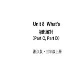 Unit 8  What’s thisPart C，Part D）（课件+素材）湘少版（三起）英语三年级上册