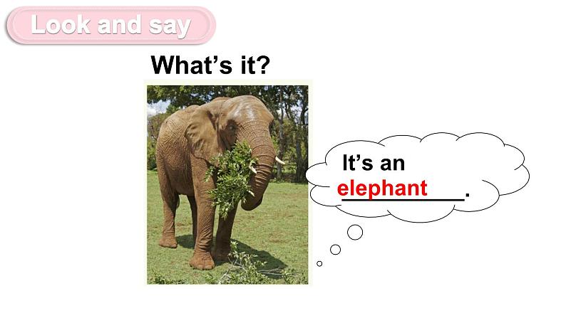 Unit 9  It’s a mouth Let's Know More（课件+素材）湘少版（三起）英语三年级上册02