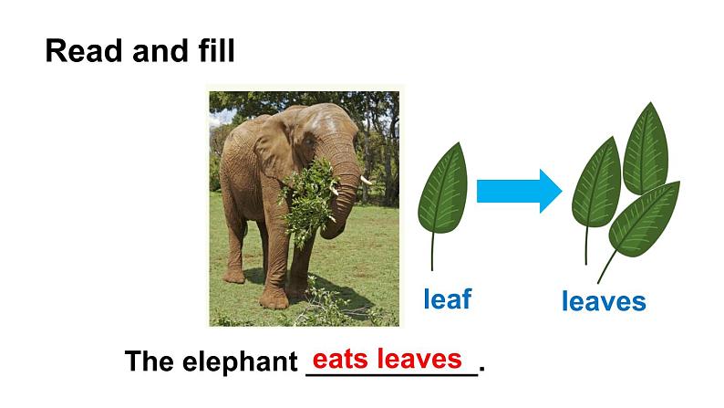 Unit 9  It’s a mouth Let's Know More（课件+素材）湘少版（三起）英语三年级上册05