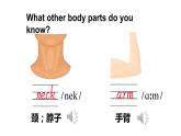 Unit 10  Touch your head（Part A, Part B）（課件+素材）湘少版（三起）英語三年級上冊