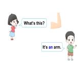 Unit 10  Touch your head（Part E, Part F, Part G）（課件+素材）湘少版（三起）英語三年級上冊