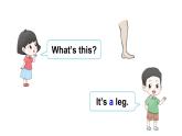 Unit 10  Touch your head（Part E, Part F, Part G）（課件+素材）湘少版（三起）英語三年級上冊