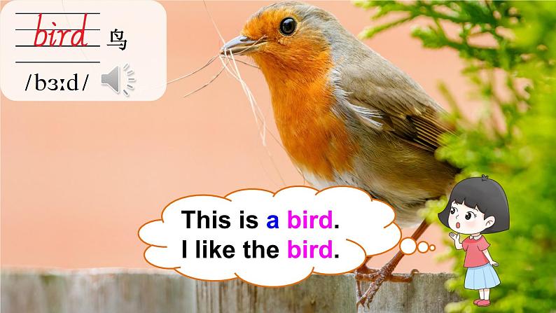 Unit 11  I like the bird（Part A, Part B）（课件+素材）湘少版（三起）英语三年级上册07