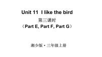 湘少版三年级上册Unit 11 I like the bird授课ppt课件