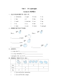 小学英语Lesson 14巩固练习