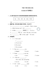 人教精通版五年级上册Unit 2 She looks cute.Lesson 10测试题