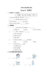 小学英语人教精通版五年级上册Lesson 11当堂达标检测题