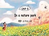Unit 6 In a nature park 單詞講解（課件）人教PEP版英語五年級(jí)上冊(cè)