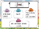 Unit 6 In a nature park 單詞講解（課件）人教PEP版英語五年級(jí)上冊(cè)