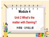 外研5英上 Module 4 Unit 2 PPT课件+教案