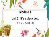 外研3英上 Module 4 Unit 2 PPT课件+教案