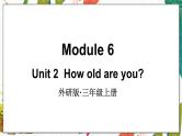 外研3英上 Module 6 Unit 2 PPT课件+教案