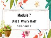 外研3英上 Module 7 Unit 2 PPT课件+教案