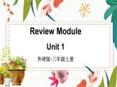外研3英上 Review Module Unit 1 PPT课件+教案