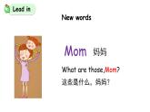 科普版英語四年級(jí)下冊(cè)lesson5第三課時(shí)（課件+素材）
