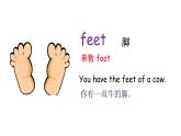 科普版英語四下Lesson8 第三課時（課件+素材）