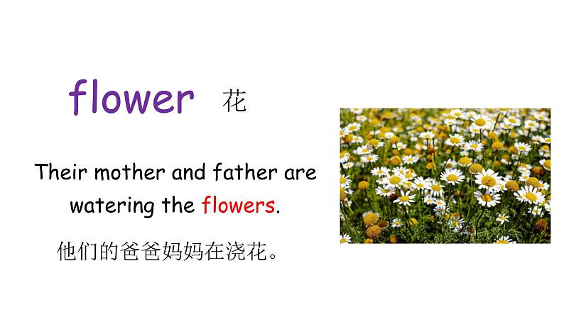 科普版英语四下Lesson11 第三课时（课件+素材）06