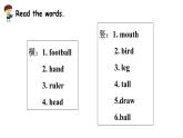 科普版英語四下Lesson11 第四課時（課件+素材）