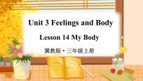 小学英语冀教版 (三年级起点)三年级上册Lesson 14 My Body授课ppt课件