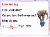 精通4英上 Unit 6 Lesson 31 PPT課件+教案