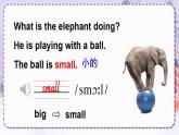 精通4英上 Unit 6 Lesson 31 PPT課件+教案