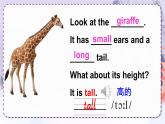 精通4英上 Unit 6 Lesson 33 PPT课件+教案