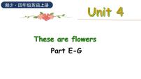 小学英语湘少版四年级上册Unit 4  These are flowers.多媒体教学ppt课件