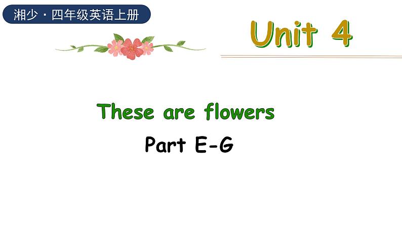 湘少版（三起）英语四年级上册--Unit 4 These are flowers Part E-G（课件+素材）01