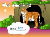 湘少版（三起）英語(yǔ)四年級(jí)上冊(cè)--Unit 3 Look at this elephant Part A-B（課件+素材）