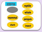 人教版新起点英语六上册Unit 3 Animal world lesson2课件+教案+练习