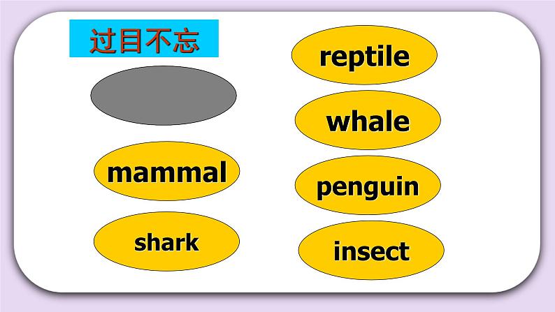 人教版新起点英语六上册Unit 3 Animal world lesson2课件+教案+练习02