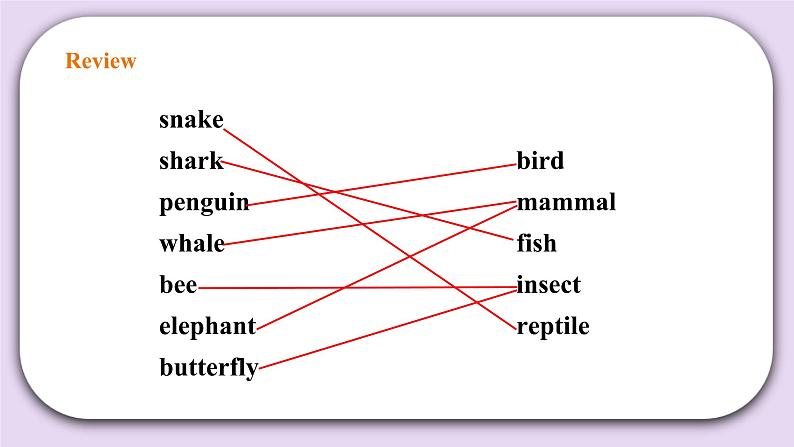 人教版新起点英语六上册Unit 3 Animal world lesson2课件+教案+练习03